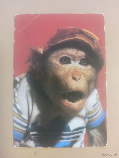 Календарь 1984/2