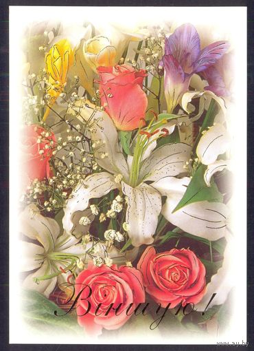 Беларусь 2003 ДМПК Поздравляю