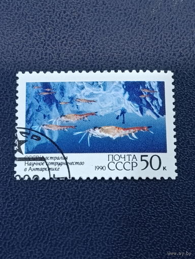 Научное сотрудничество с Австралией СССР 1990 год.