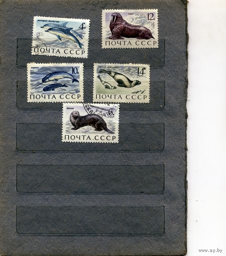 СССР, 1971, МОРСКИЕ МЛЕКПИТАЮЩИЕ, серия 5м,  гашеная