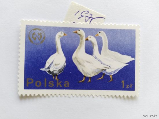 Польша 1975 гуси