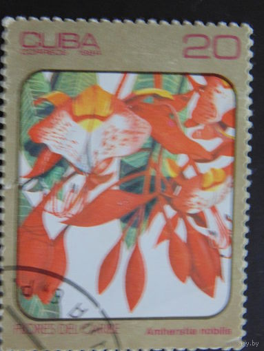 Куба 1984 г. Цветы.
