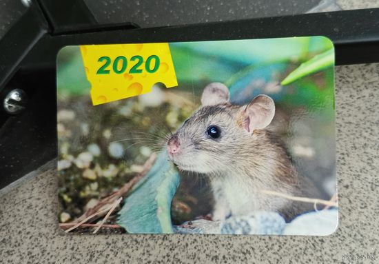 Календарик карманный 2020 мышь