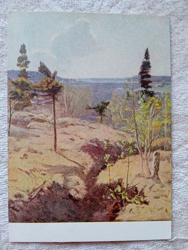 1955. Ткачев. Первая зелень