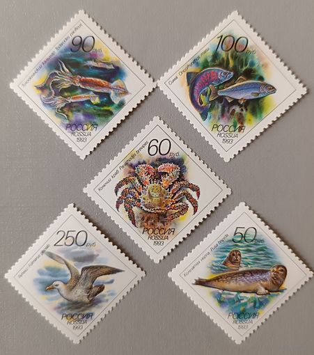 Фауна. Россия, 1993