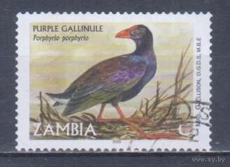 [881] Замбия 2001. Фауна.Птицы. Гашеная марка.
