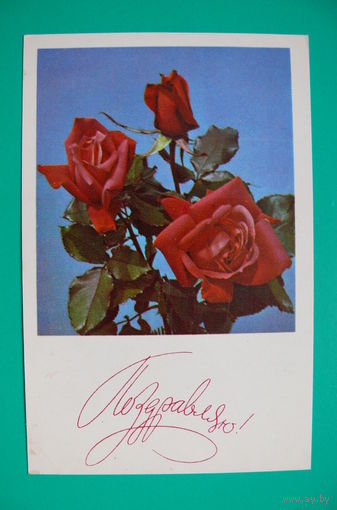Френкель О., Поздравляю! 1977, чистая.