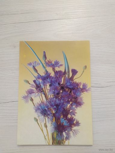 Открытка ЦВЕТЫ