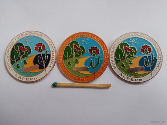 Знаки. Пионерский лагерь " Красная гвоздика". цена за 1 шт.
