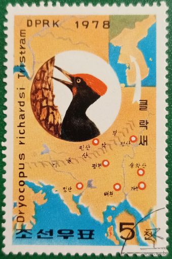 КНДР 1978. Птицы. Дятел