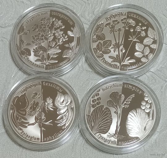 Зверобой четырехкрылый, Гроздовник простой, Надбородник безлистный, Лапчатка скальная. 1 рубль.