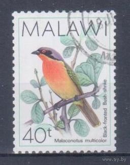 [1219] Малави 1988. Фауна.Птицы. Гашеная марка. 3