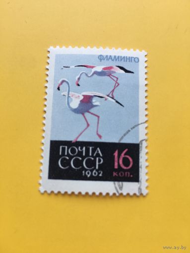 СССР 1962 год фауна