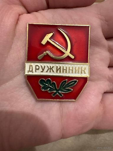 Дружинник значок