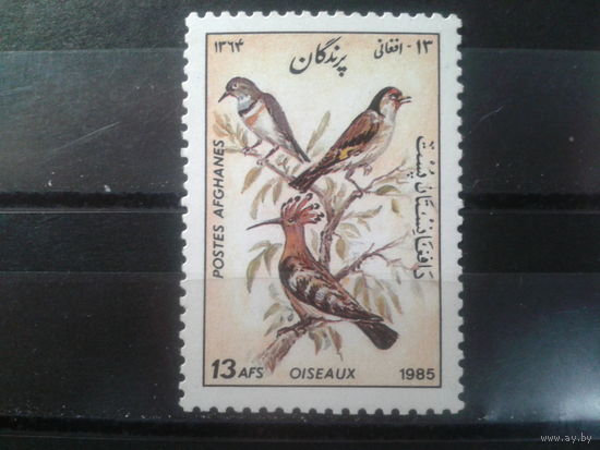 Афганистан, 1985. Птицы**