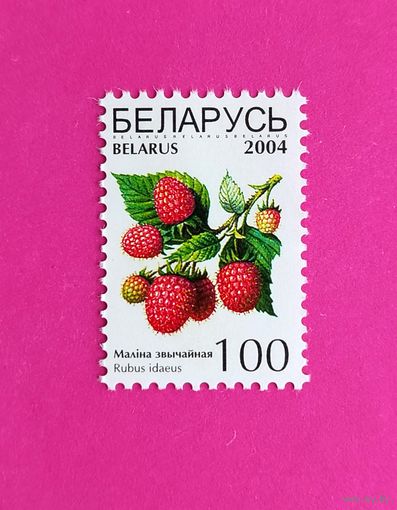 Беларусь. Стандарт. ( 1 марка ) 2004 года. 4-5.