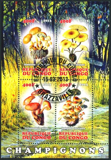 Грибы Конго 2013 год квартблок