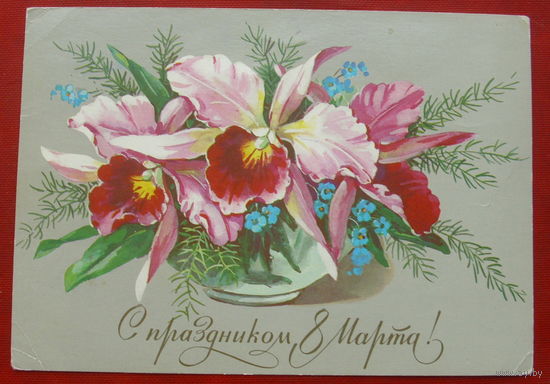 8 марта! Подписанная. 1984 года. Куртенко. 685.