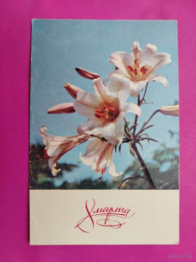 8 марта! Чистая. Двойная. 1970 года. Хоменко. *232.