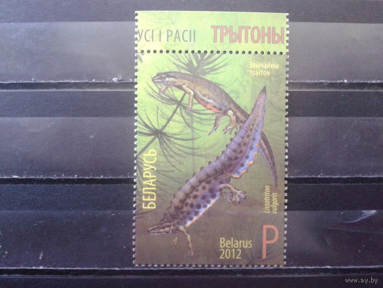2012 Тритоны** Р