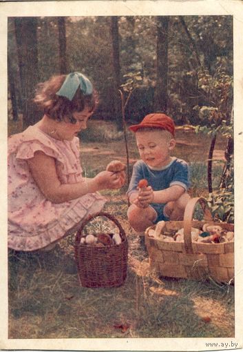 Подписанная открытка СССР. Фото Становова. 1957