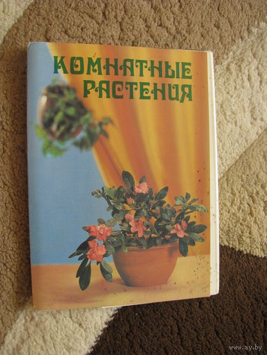 Комнатные растения