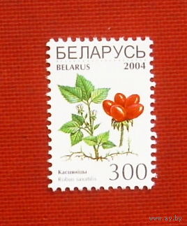 Беларусь. Стандарт. ( 1 марка ) 2004 года. 8-3.