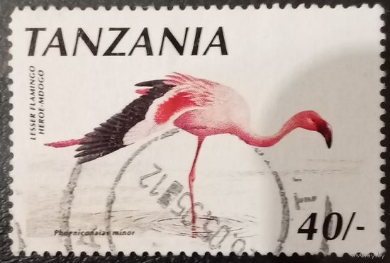 Танзания 1995. Розовый фламинго