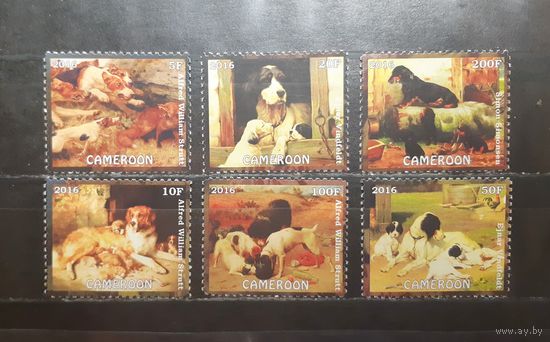 Камерун. 2016 год. Фауна. Собаки (1188)