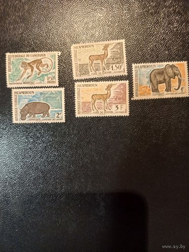 Животные Африки. Камерун. 1962