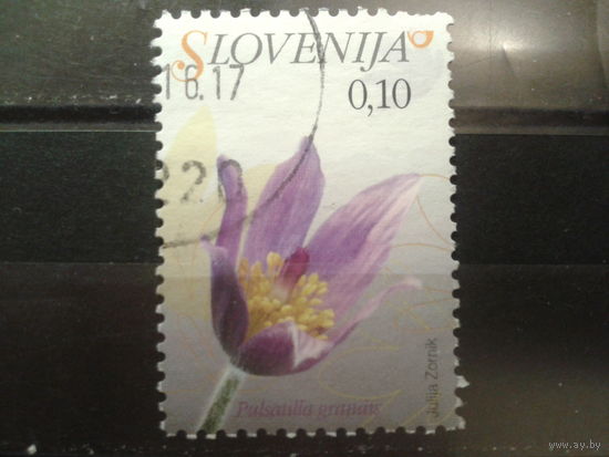 Словения 2007 Стандарт, цветок