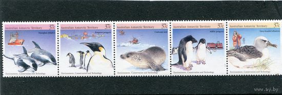 Австралийская Антарктида. Фауна. Охрана животного мира. Сцепка