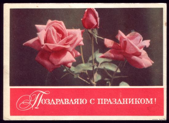 1968 год З.Егорова Поздравляю с праздником!
