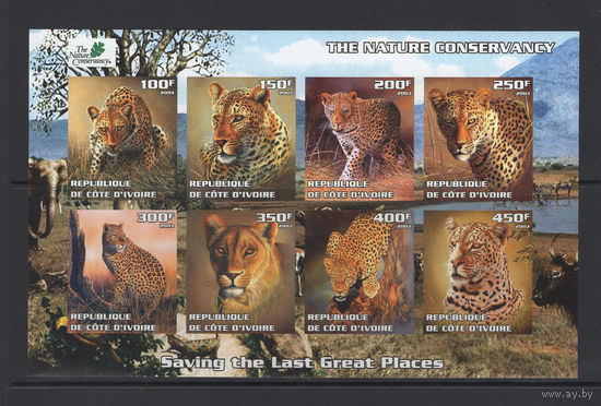 Кот-д"Ивуар 2003** Дикие кошки Африки без зубцов