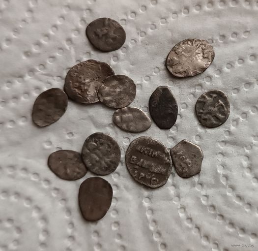 Чешуйки 13 шт