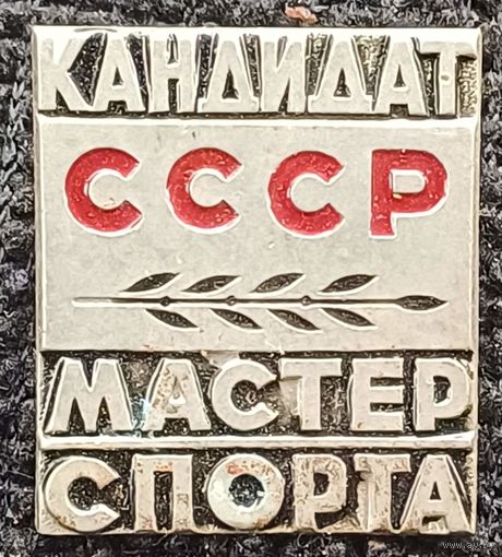 Значок кандидат мастер спорта ссср