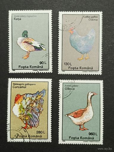Румыния 1995. Птицы
