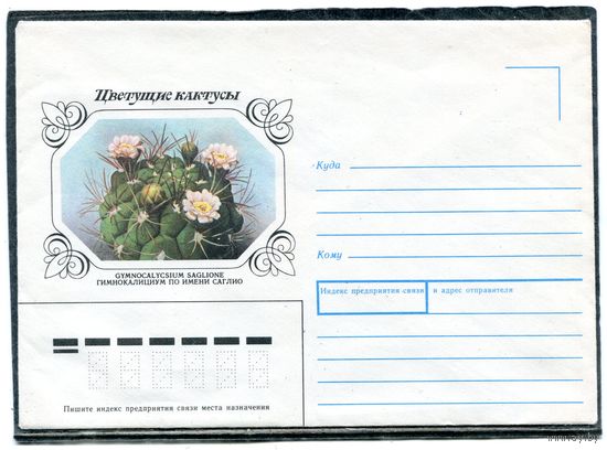 СССР 1990 (1983). Не маркированный конверт. Кактус Гимнокалициум