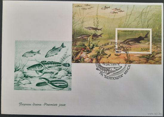 КПД. Редкие виды рыб водоемов Беларуси. 1997 г.