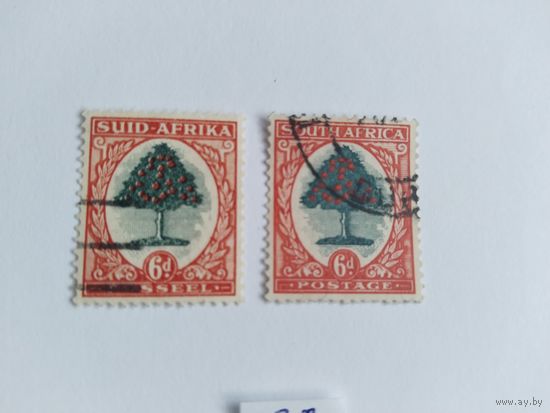 ЮАР  1933- 2м  апельс.дерево