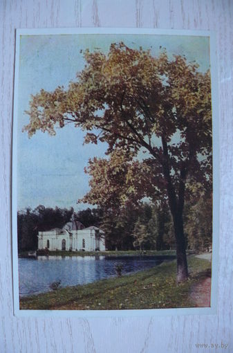 Шагин И., г. Пушкин. Эрмитаж; 1949, чистая.