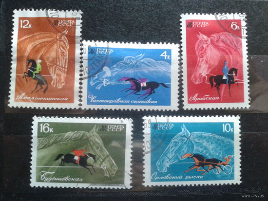 1968. Конный спорт