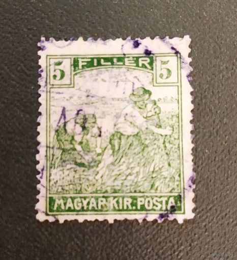 Марка Венгрия 1916 год Стандартный выпуск