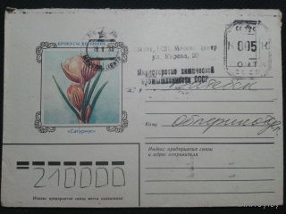 1984 крокусы прошло почту