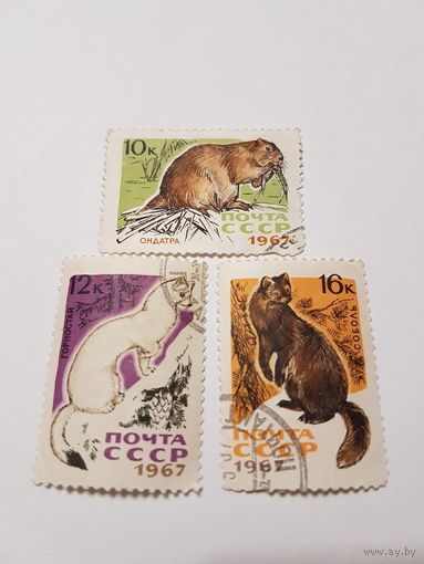 Марки СССР 1967 г. Андатра, Соболь, Горностай лот из 3-х марок.
