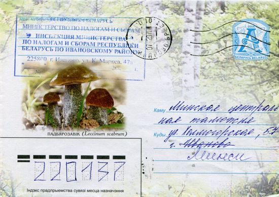 2006. Конверт, прошедший почту "Подберёзовик"