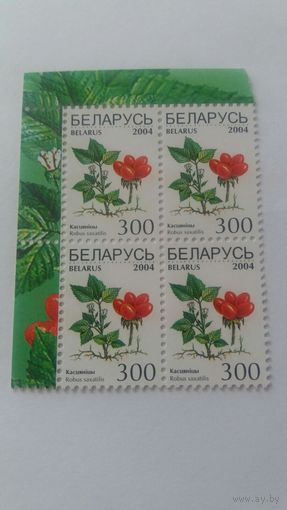 РБ 2004 к/б ягоды