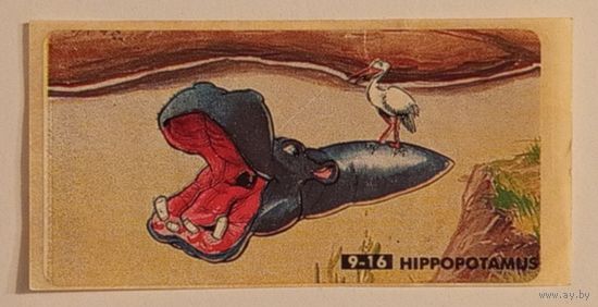 Jungle Kingdom #9 (Chupa Chups)