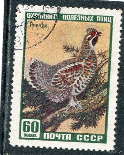 СССР 1959.. Фауна. Рябчик