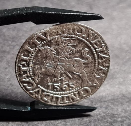 Полугрош 1565 года ХОРОШИЙ